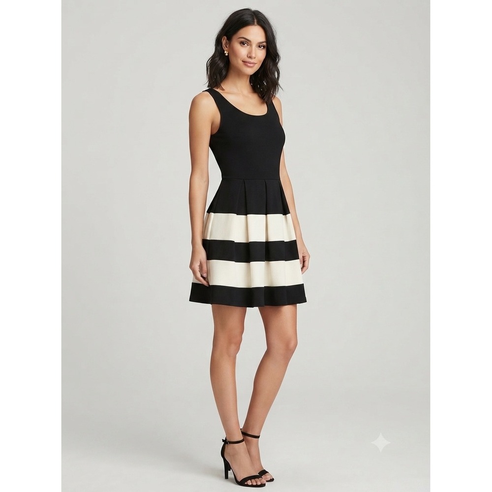 Altard State Black White Striped Fit Flare Dress Sleeveless Pleated AD171335 L